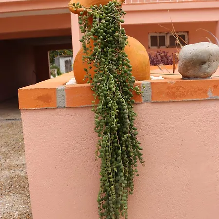 Casa Do Avo Gil