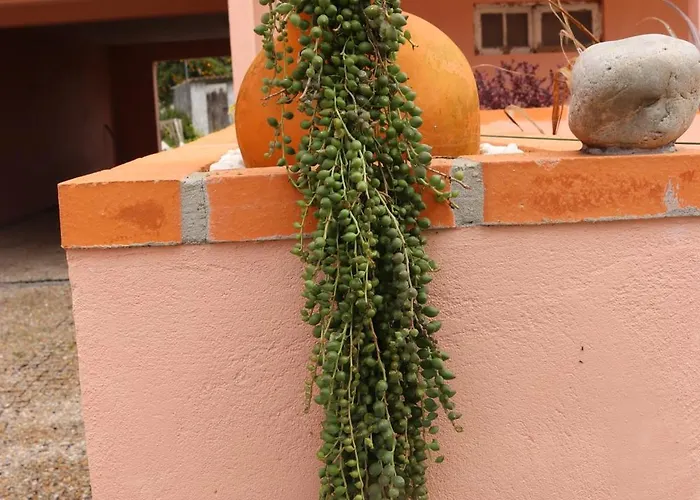 Casa Do Avo Gil
